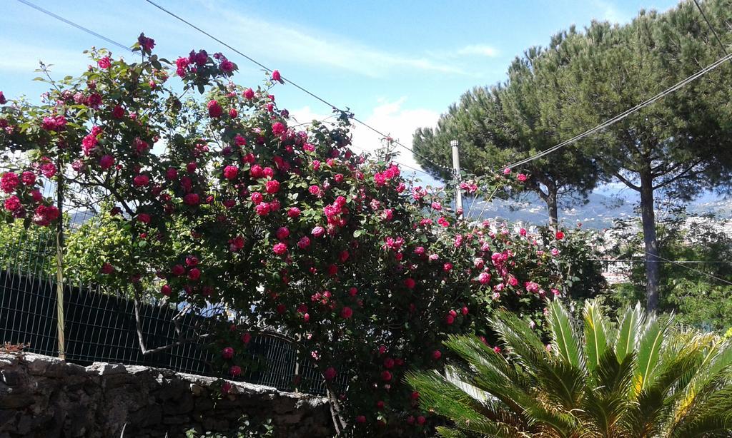 Tre Pini Apartment La Spezia Luaran gambar